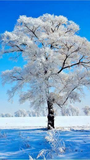 Beautiful Nature iPhone Wallpaper Cool