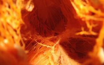 Wallpaper Background Screensavers Image Pumpkin