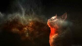 Amazing Space Cat Wallpaper