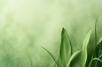 Green Color Background Wallpaper