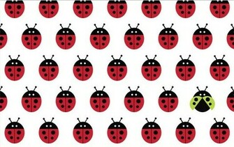 Cute Ladybug Background Love