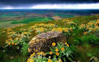 Beaitiful Nature Landscape Wallpaper X