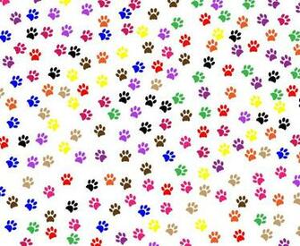 Paw Prints Background Stock Photo HD Public Domain Pictures