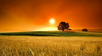 HD Summer Sunset Desktop Wallpaper