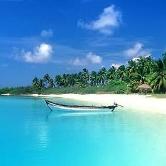 Hot Beach iPad Wallpaper iPhone
