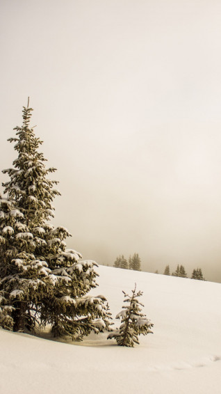 Snow iPhone Wallpaper