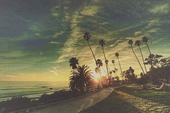 Tropical Background