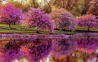 Spring Wallpaper Android Apps On Google Play