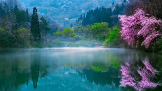 Beautiful Wallpaper