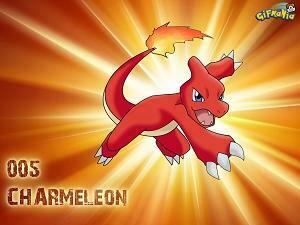 Charmeleon Wallpaper