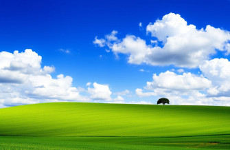 Windows Original Wallpaper