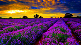 Beautiful Desktop Background Wallpaper