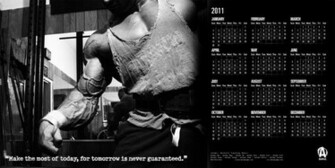 Animal Pak Wallpaper Ptax