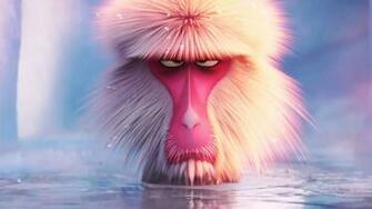Storks Monkey Wallpaper Baltana