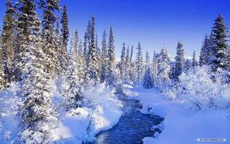 Dream Wallpaper Nature Winter Wonderland