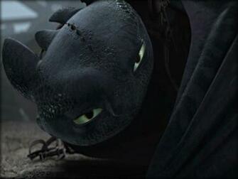 Toothless The Dragon Wallpaper