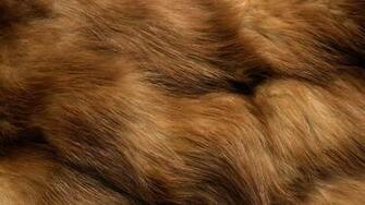 Fur Spotted Animal Clothing Wallpaper Background HD