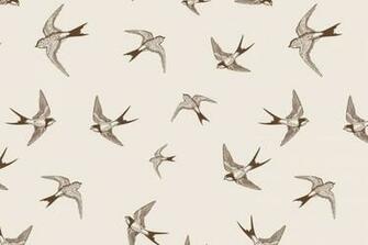 V HD Image Of Swallow Ultra 4k Wallpaper