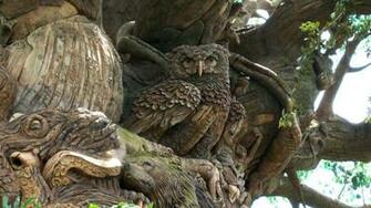 Disney Wallpaper Animal Kingdom