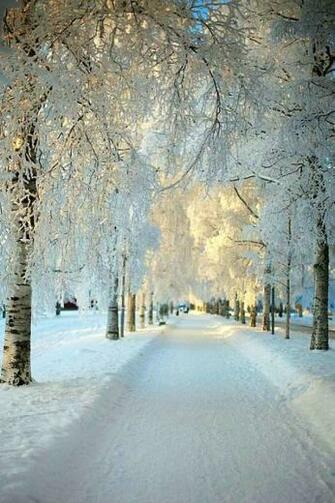 Winter iPhone Wallpaper Tjn