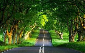 Beautiful Natural Scenery Desktop Wallpaper List