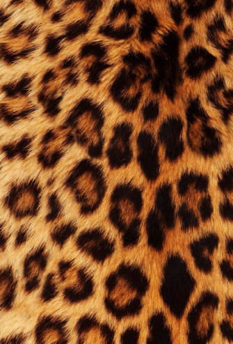 iPhone Wallpaper Leopard Print Animal I