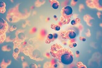 Optimize And Transform Clinical Oncology Research Medidata Solutions