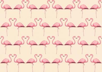 Source Url Galleryhipcomflamingo Heart