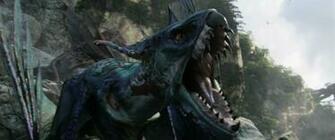 Avatar Image Dragon From HD Wallpaper And Background Photos