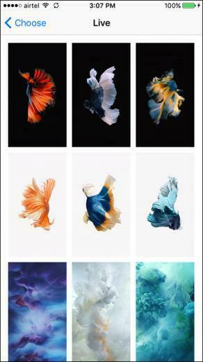 Photo Option Is Selected While You Are Tapping On Any Live Wallpaper