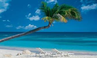 Wholesale Wallpaper