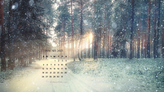 Desktop Wallpaper January