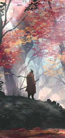 Video Game Sekiro Shadows Die Twice