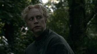 Brienne Of Tarth Image Screencaps HD Wallpaper