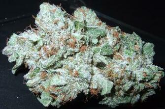 Bubba Og Kush Graphics Code Comments Pictures