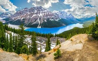 Wallpaper Peyto Lake Banff National Park Canada Desktop