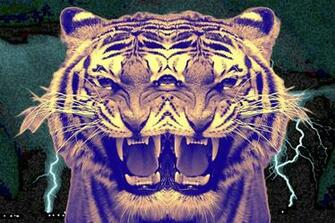 Tiger Trippy B