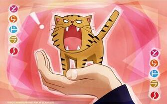 Toradora Wallpaper Cody Rapoltoradora