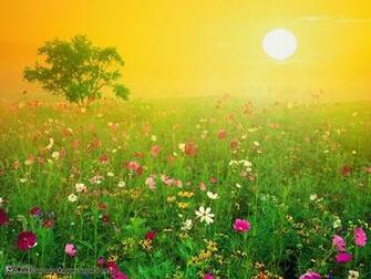Amazing Nature Wallpaper National Geographic