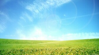 Submit Use Picky Wallpaper Rss