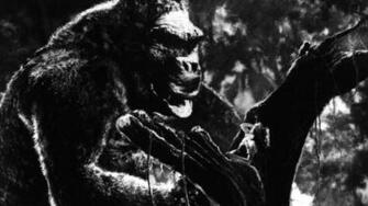King Kong Wallpaper Poster HD