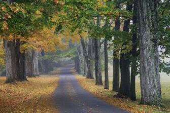 Random Wallpaper Nature Best Desktop