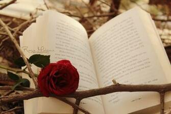 Beautiful Reading High Quality And Resolution Wallpaper