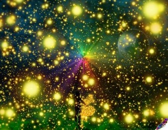 Fireflies Owl City By Shalomr Customization Wallpaper Fantasy Inspired