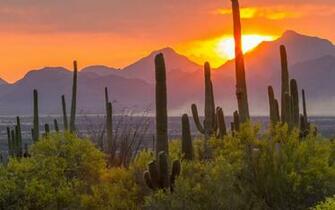 Arizona Travel Size