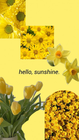 Yellow Aesthetic Wallpaper Flowers Ashuffleaday