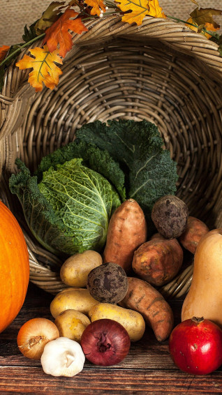 Fall Harvest Wallpaper iPhone Android Desktop Background