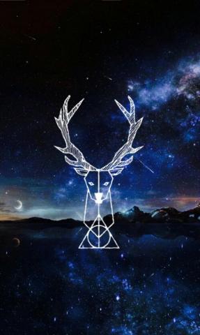 Harry Potter Book Quotes Galaxy Phone Wallpaper