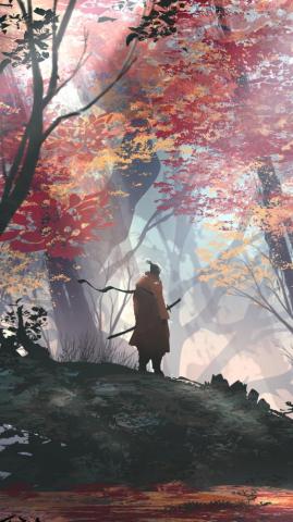 Video Game Sekiro Shadows Die Twice