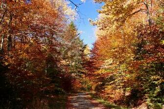 Screensavers Virginia In The Fall